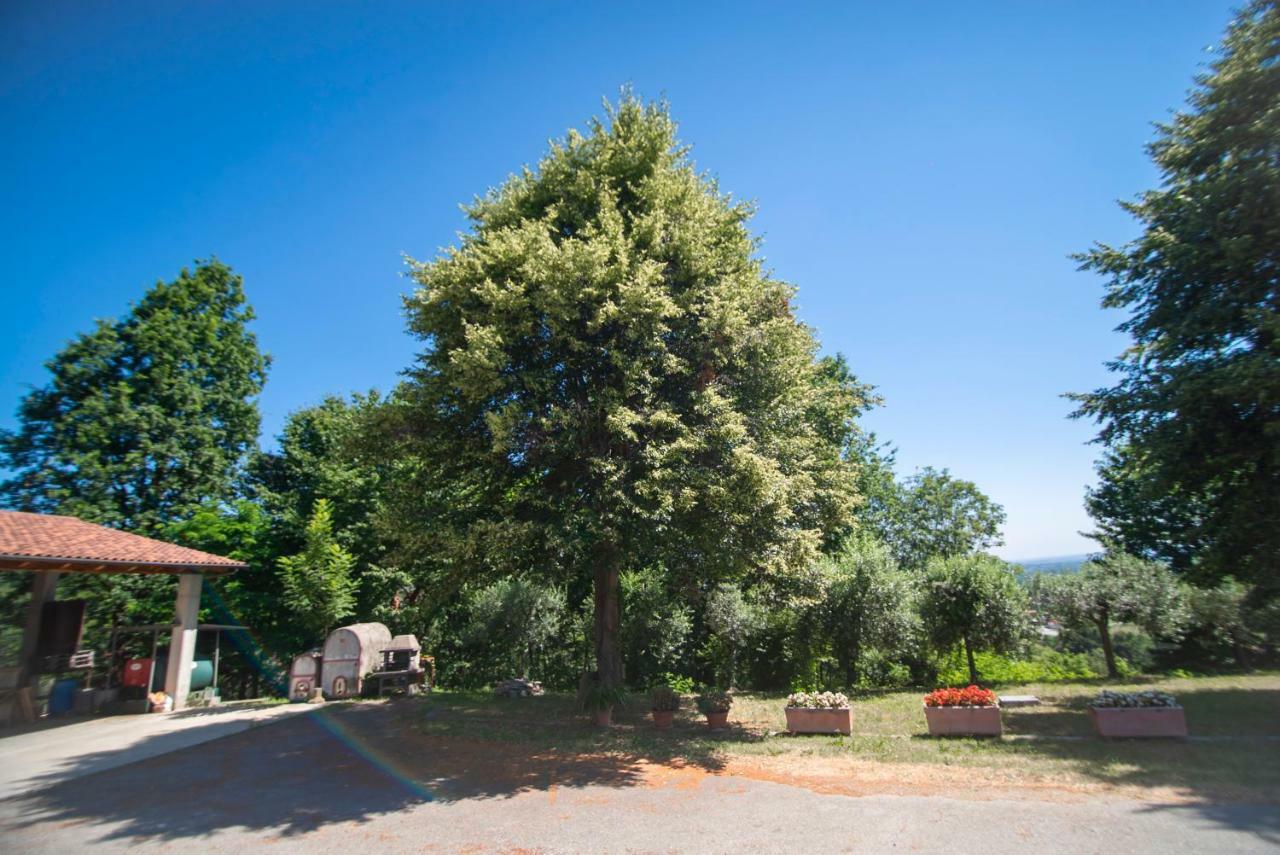 Agriturismo Turina Bricherasio Exteriör bild